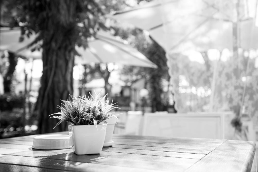 B&B Isabella Milano Marittima Zewnętrze zdjęcie